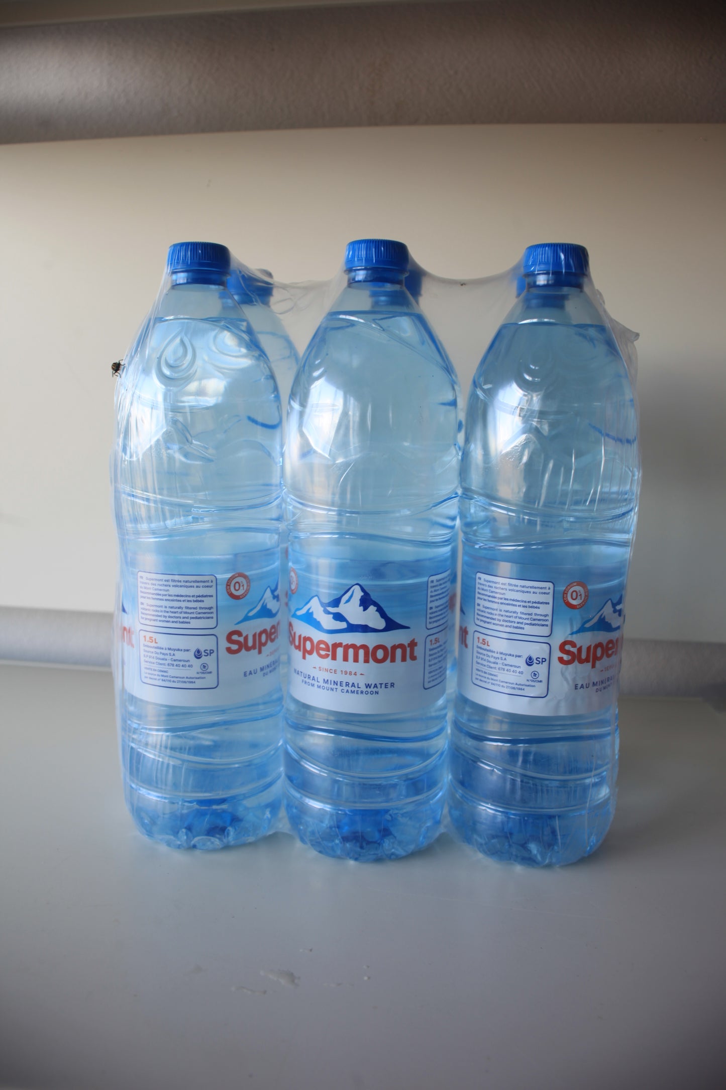 Suprtmont palette 6bouteilles